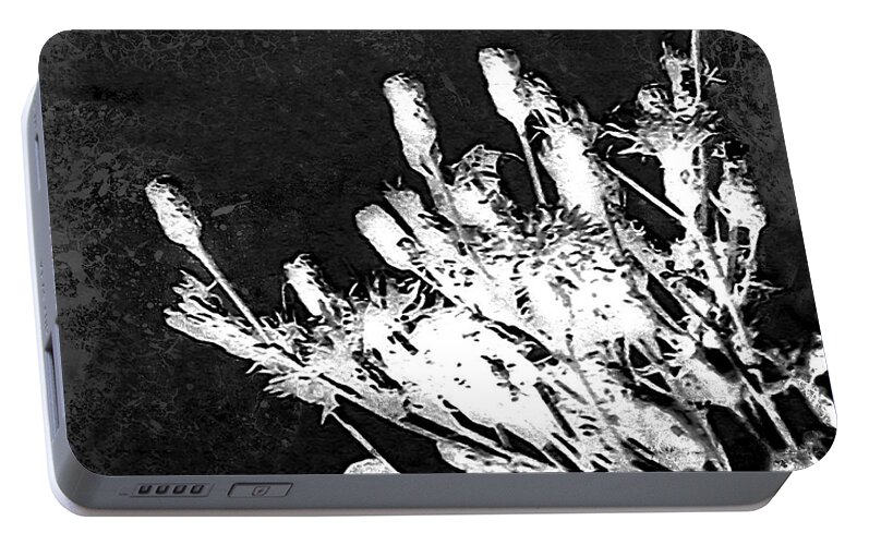 Black Portable Battery Charger featuring the photograph Black and White Wildflower by Shawna Rowe