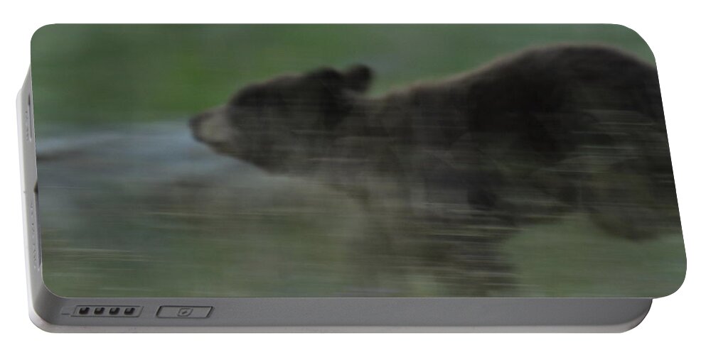 Black Bear Portable Battery Charger featuring the photograph Black Bear Cub by Frank Madia