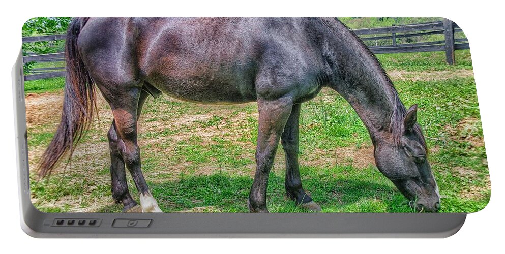 Horses Portable Battery Charger featuring the photograph Black beauty by Dennis Baswell