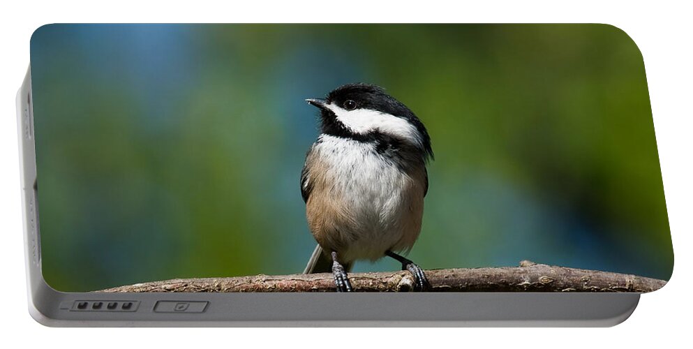 Animal Portable Battery Charger featuring the photograph Black Capped Chickadee Perched on a Branch by Jeff Goulden