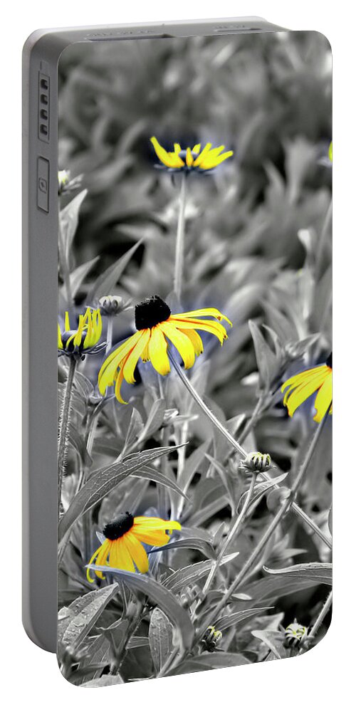 Blackeyed Susan Portable Battery Charger featuring the photograph Black-Eyed Susan Field by Carolyn Marshall