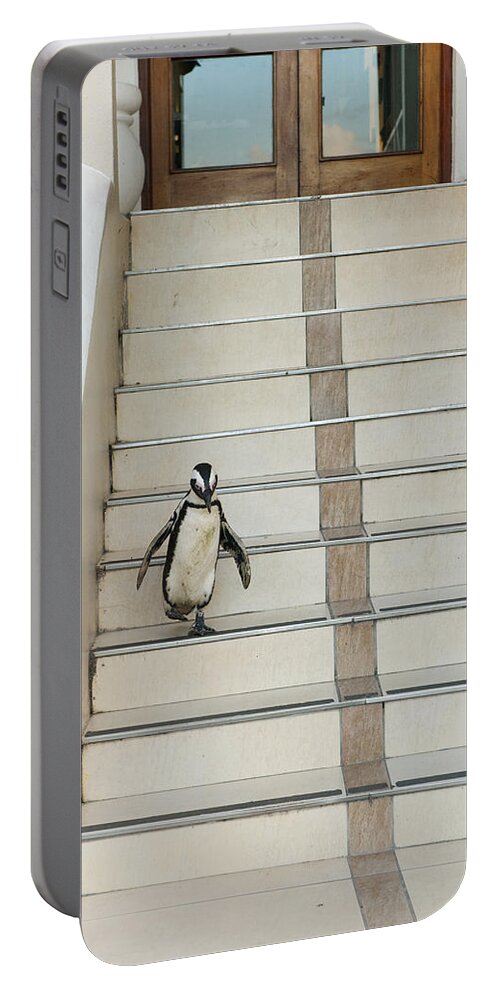 Feb0514 Portable Battery Charger featuring the photograph Black-footed Penguin Boulders Beach by Kevin Schafer