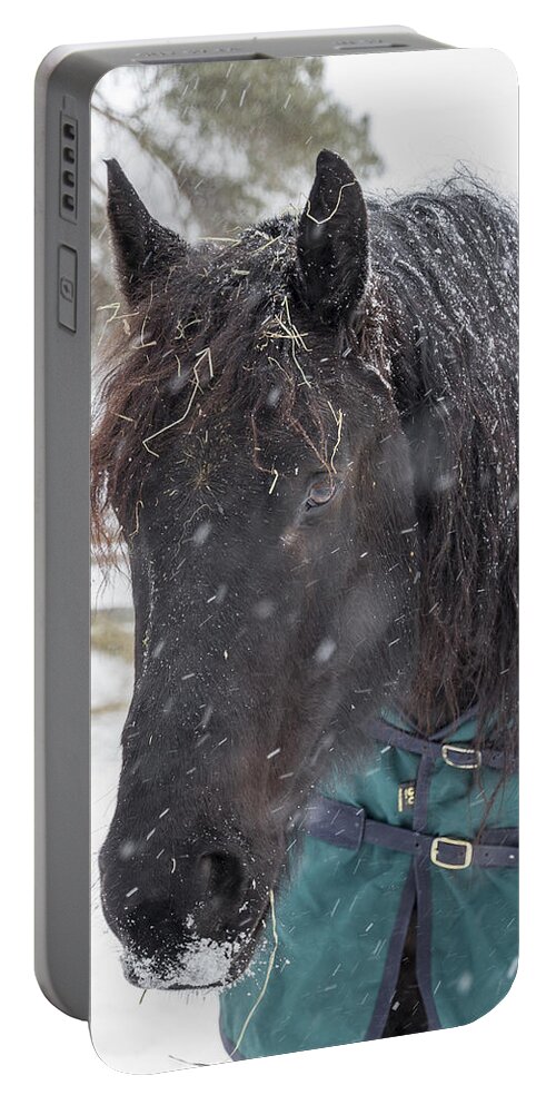 Horse Portable Battery Charger featuring the photograph Black Horse in Snow by Joann Long