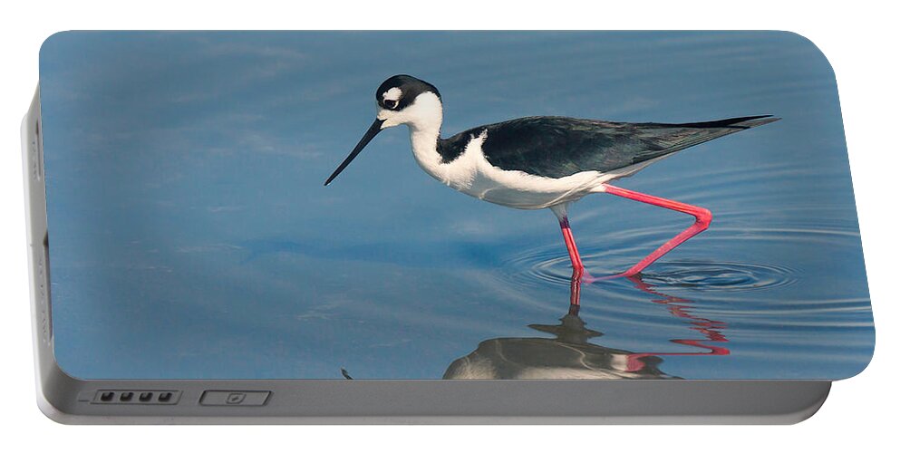 Bolsa Chica Portable Battery Charger featuring the photograph Black-necked stilt - Huntington Beach California by Ram Vasudev