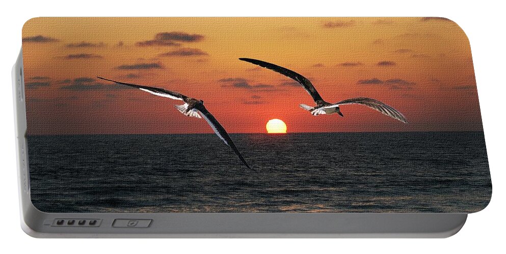 Black Skimmers Portable Battery Charger featuring the photograph Black Skimmers At Sunset by Tom Janca