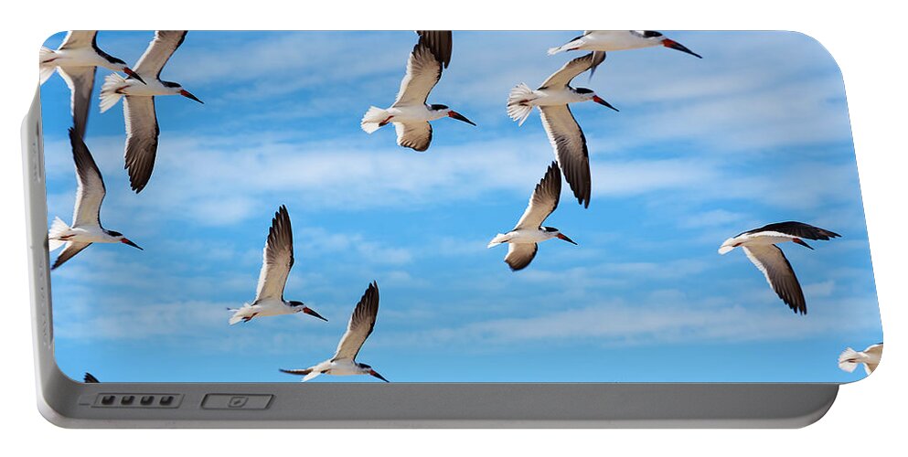 Wildlife Portable Battery Charger featuring the photograph Black Skimmers by Kenneth Albin