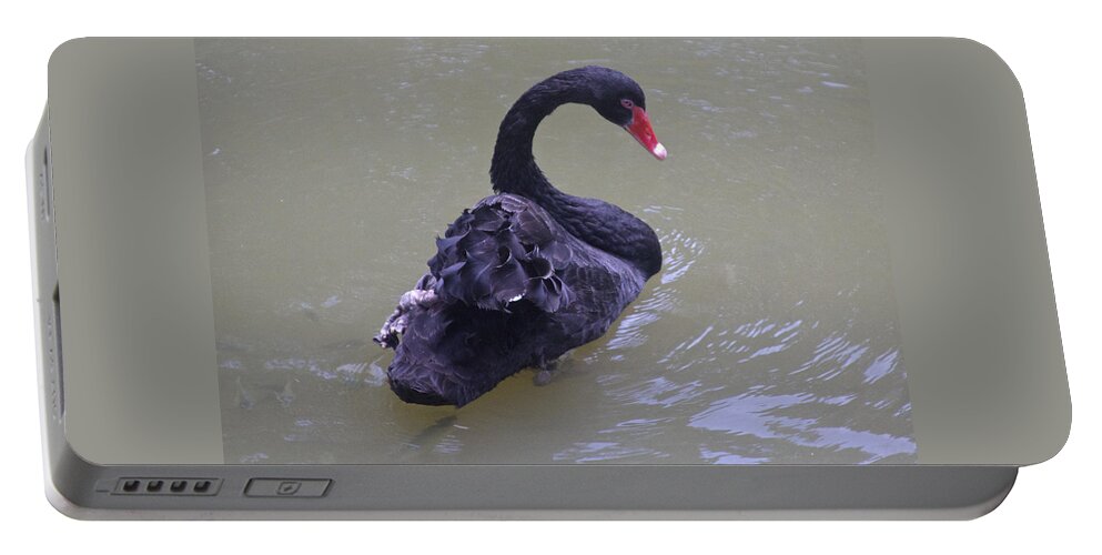 Cygnus Atratus Portable Battery Charger featuring the photograph Black Swan, Melbourne, Australia by Venetia Featherstone-Witty