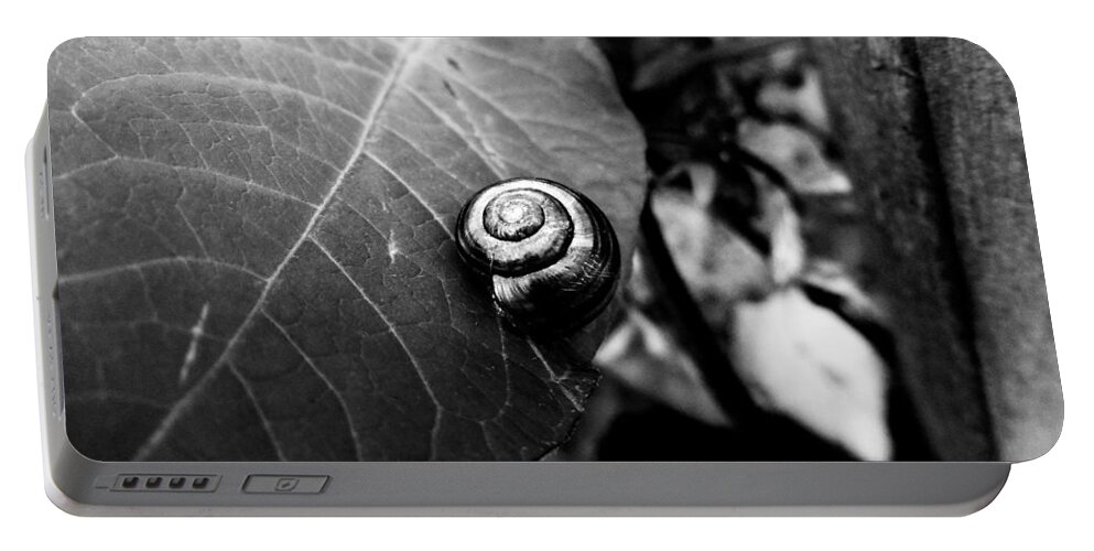 Snail Portable Battery Charger featuring the photograph Black Swirl by Zinvolle Art