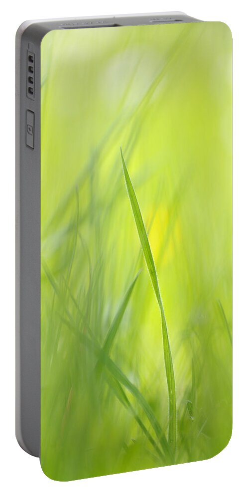 Spring Portable Battery Charger featuring the photograph Blades of grass - green spring meadow - abstract soft blurred by Matthias Hauser