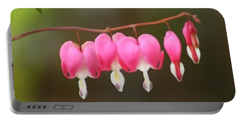 Bleeding Hearts Portable Battery Charger featuring the photograph Bleeding Hearts by Art Block Collections