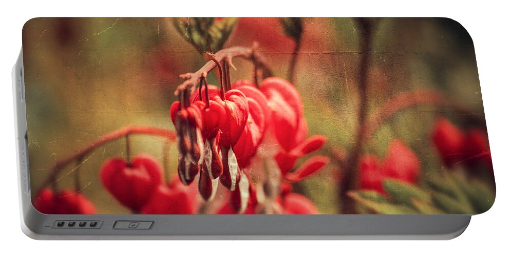 Love Portable Battery Charger featuring the photograph Bleeding Hearts by Spikey Mouse Photography