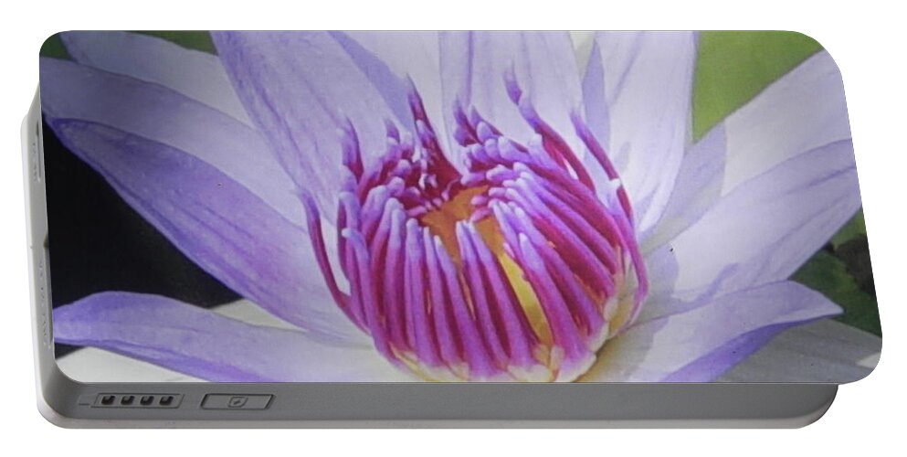 Photograph Portable Battery Charger featuring the photograph Blooming For You by Chrisann Ellis