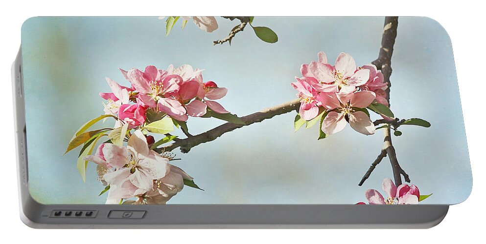 Nature Portable Battery Charger featuring the photograph Blossom Branch by Kim Hojnacki