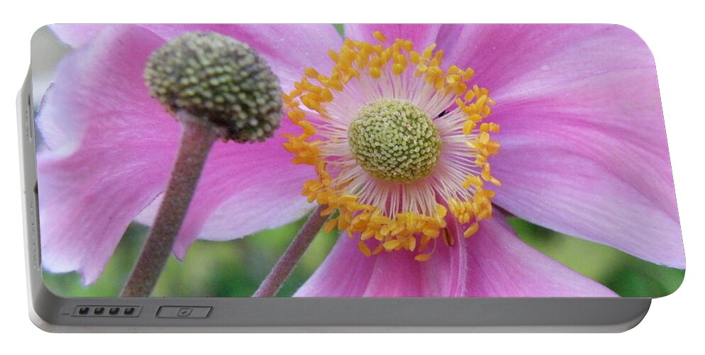 Flowers Portable Battery Charger featuring the photograph Blossom by Lainie Wrightson