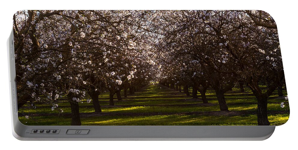 Blossom Portable Battery Charger featuring the photograph Blossom Tunnel by Priya Ghose