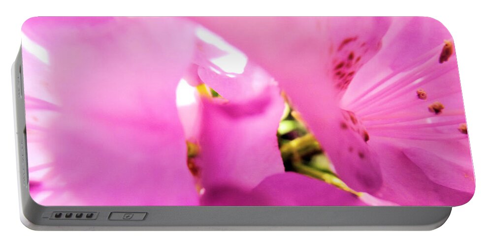 Flower Portable Battery Charger featuring the photograph Blossoming Beauty by Robyn King