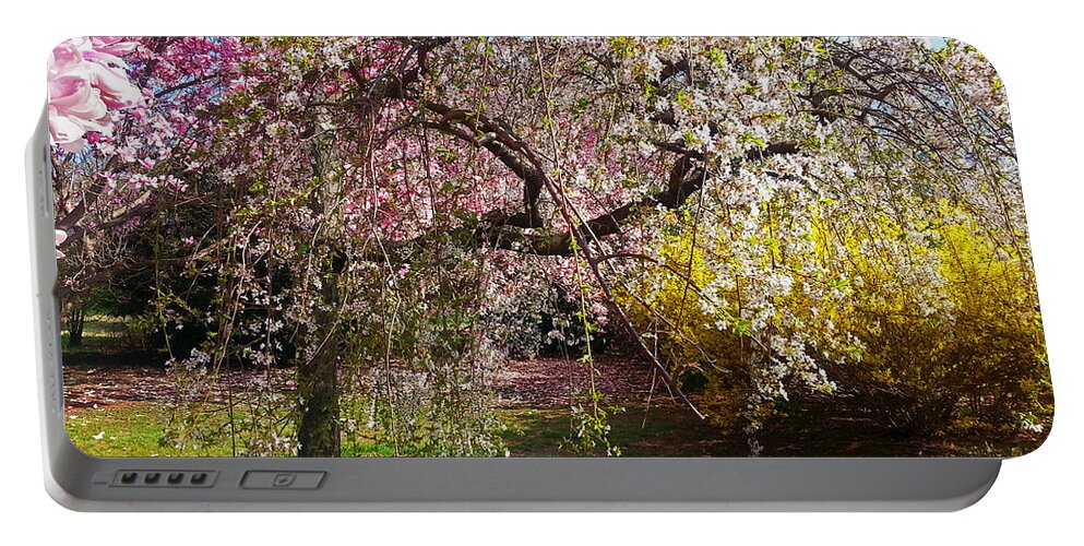 Cherry Blossoms Photographs Portable Battery Charger featuring the photograph Blossoms Potpourri II by Emmy Vickers