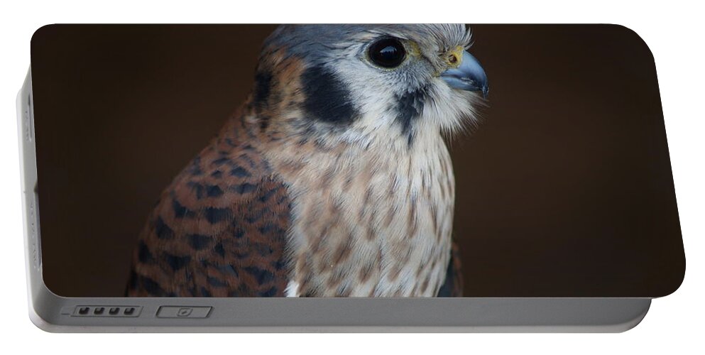 Bird Portable Battery Charger featuring the photograph Blue Beak by Robin Pedrero