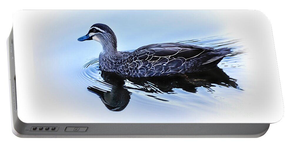 Blue Billed Duck Portable Battery Charger featuring the photograph Blue Billed Duck by Kaye Menner