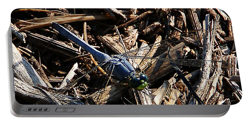 Insect Portable Battery Charger featuring the photograph Blue Dragonfly by Chauncy Holmes