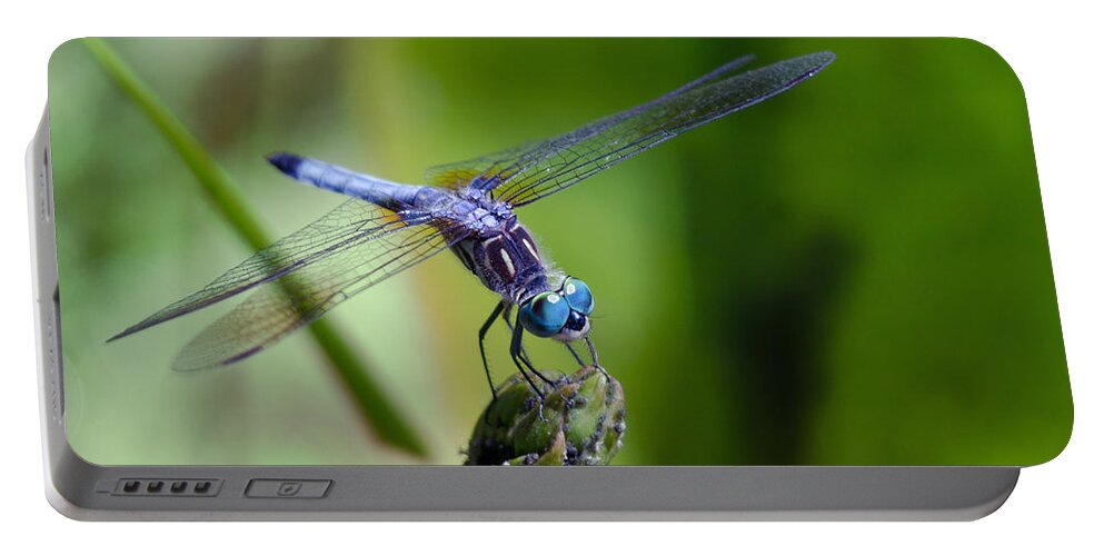 Animals Portable Battery Charger featuring the photograph Blue Dragonfly by Jim Shackett