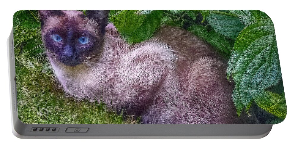 Cat Portable Battery Charger featuring the photograph Blue Eyes by Hanny Heim