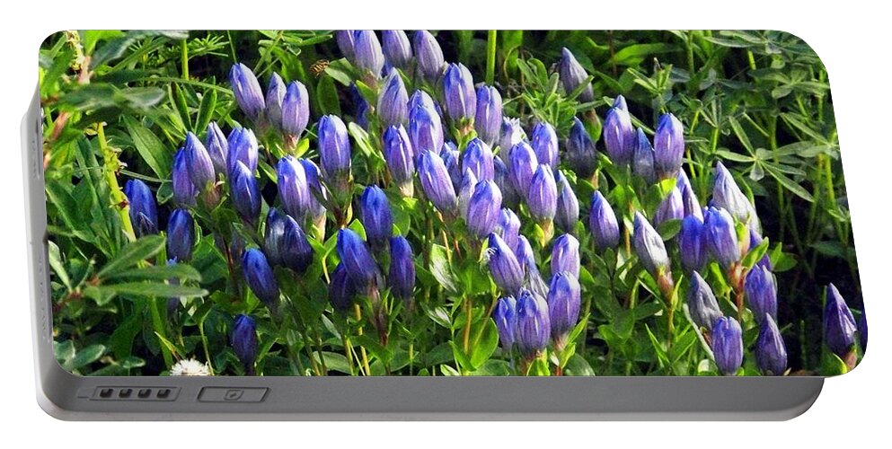 Genetia Portable Battery Charger featuring the photograph Blue Gentia Buds - 2 by Charles Robinson