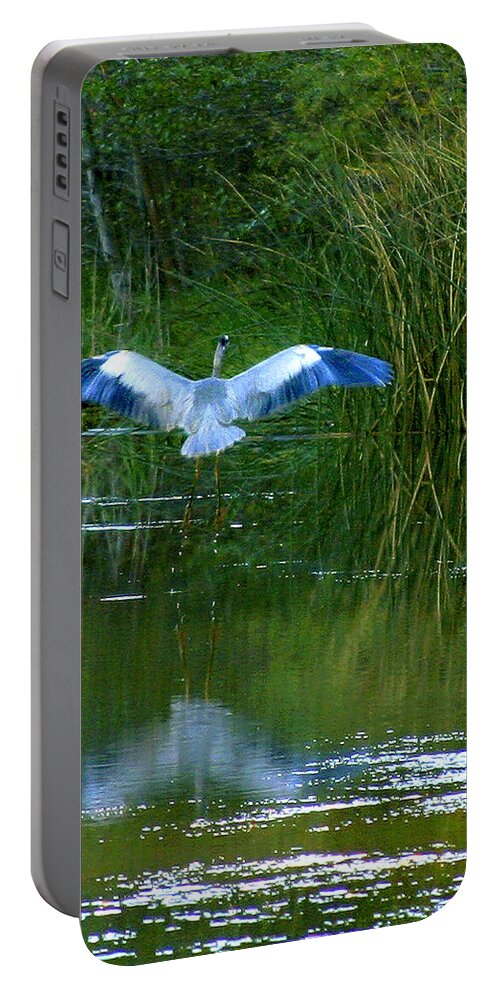 Bird Portable Battery Charger featuring the photograph Blue Heron by Matalyn Gardner