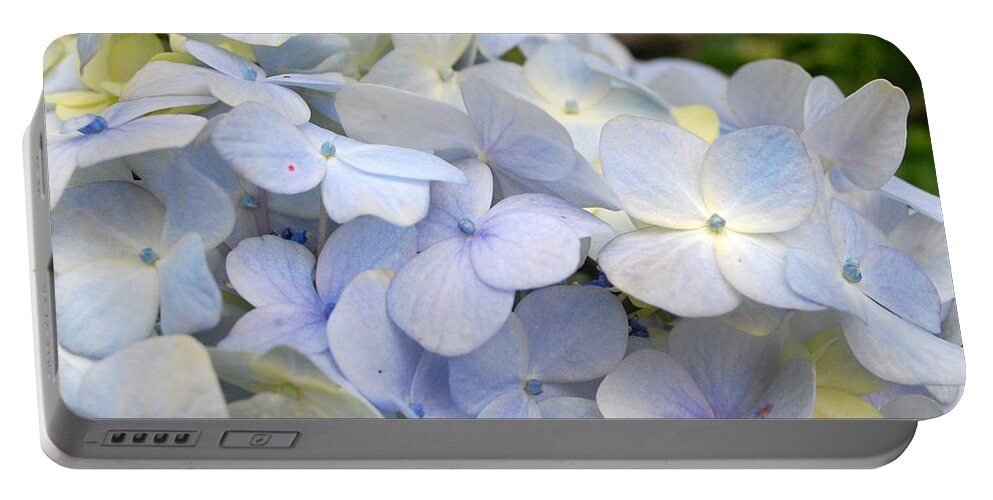 Flower Portable Battery Charger featuring the photograph Blue Hydrangea Flowers by Amy Fose
