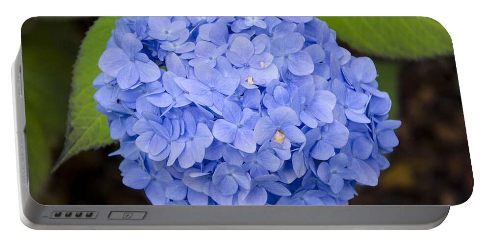 Blue Portable Battery Charger featuring the photograph Blue Hydrangea by Maureen E Ritter