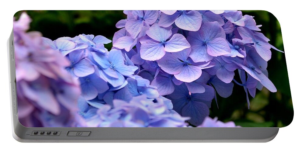 Blue Portable Battery Charger featuring the photograph Blue Hydrangea by Scott Lyons