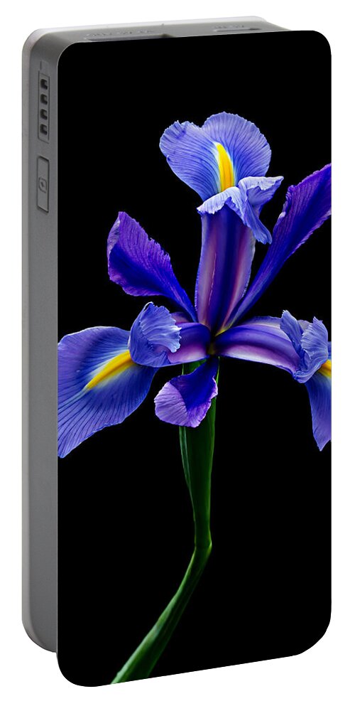 Iris Portable Battery Charger featuring the photograph Blue Iris Beauty by Mary Jo Allen