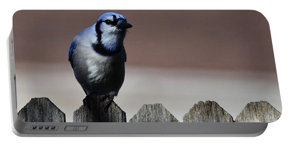 Blue Jay-in High Blue Contrast- Lower Light On An Old Ragged Gray- Fence- Posed In Art- Highest Selling Print- Bluejay- Blue Colored Birds- Blue Feathered Birds- Blue And White Birds- Bluejay On Fence- Jay(art-photography Images By Rae Ann M. Garrett- Raeann Garrett) Portable Battery Charger featuring the photograph Blue Jay Fence 1 by Rae Ann M Garrett