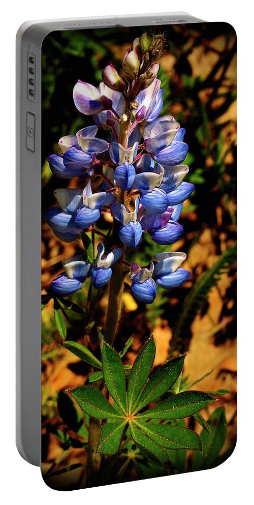 Blue Lupines Portable Battery Charger featuring the photograph Blue Lupines by Thomas Young