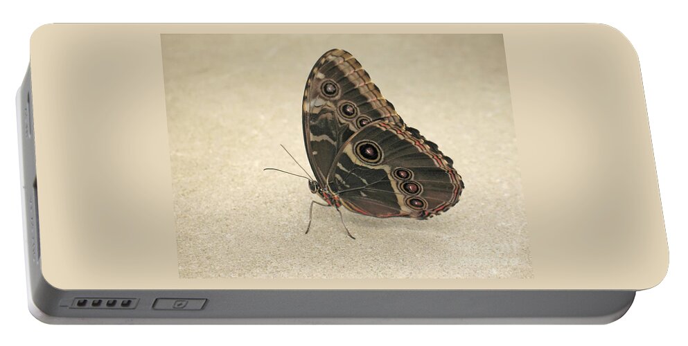 Butterfly Portable Battery Charger featuring the photograph Blue Morpho by Ann Horn