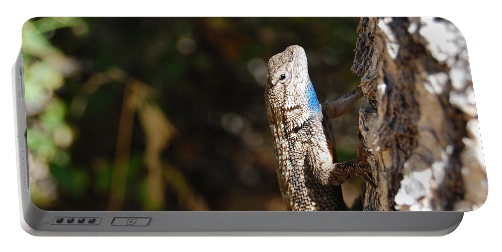 Lizard Portable Battery Charger featuring the photograph Blue Throated Lizard 2 by Debra Thompson
