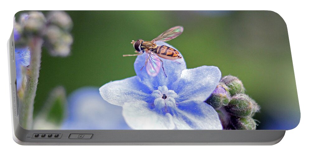 Insects Portable Battery Charger featuring the photograph Blue wasp by Jennifer Robin