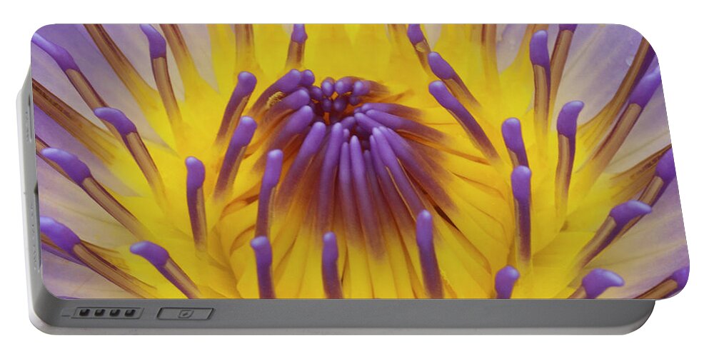 Water Lily Portable Battery Charger featuring the photograph Blue Water Lily by Heiko Koehrer-Wagner