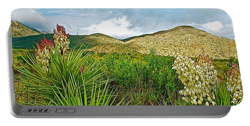 Blue Yucca And Chisos Mountains In Big Bend National Park Portable Battery Charger featuring the photograph Blue Yucca and Chisos Mountains in Big Bend National Park-Texas by Ruth Hager