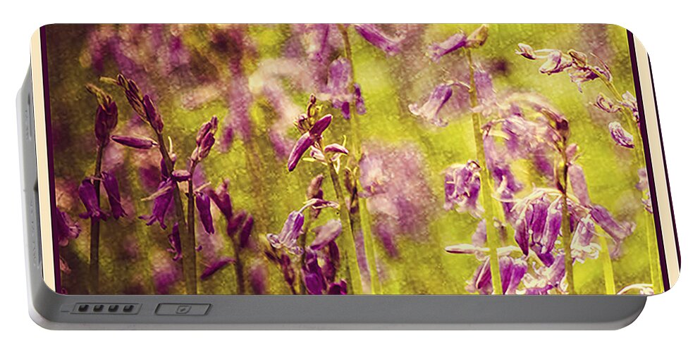 Bell Bottle Portable Battery Charger featuring the photograph Bluebell in the woods by Spikey Mouse Photography