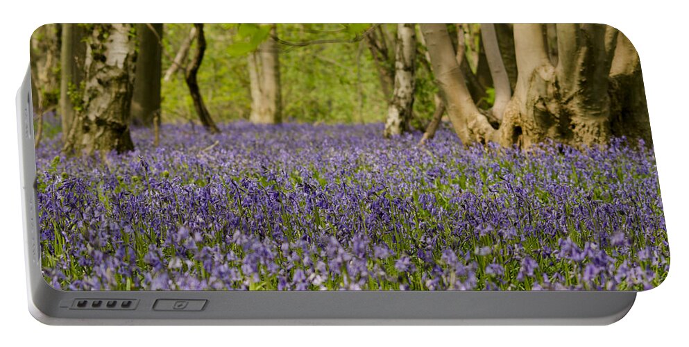 Forest Portable Battery Charger featuring the photograph Bluebell Woods by Spikey Mouse Photography