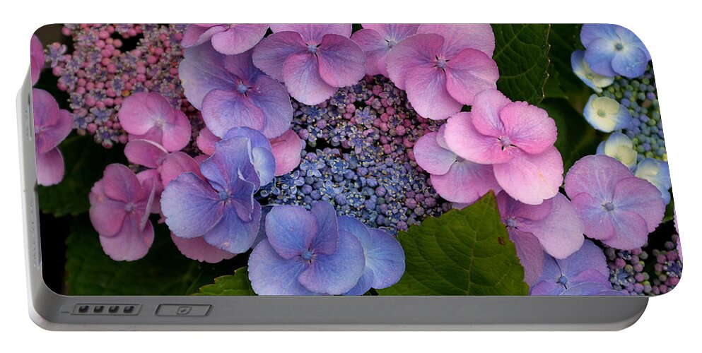 Hydrangea Portable Battery Charger featuring the photograph Blueberries and Cream by Living Color Photography Lorraine Lynch