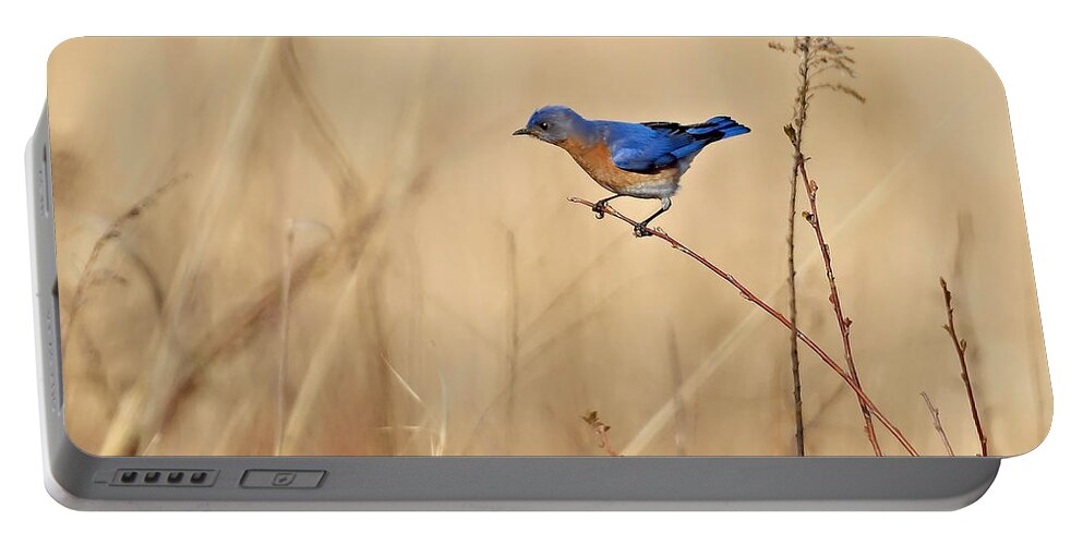 Bluebird Portable Battery Charger featuring the photograph Bluebird Meadow by William Jobes