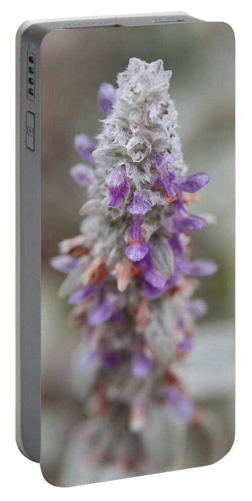 Flowers Portable Battery Charger featuring the photograph Blumen by Miguel Winterpacht