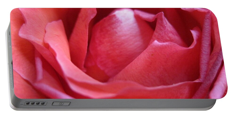 Floral Portable Battery Charger featuring the photograph Blushing Pink Rose by Tara Shalton