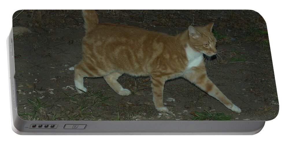 Cat Portable Battery Charger featuring the photograph Bob-tail Cat by Donna Brown