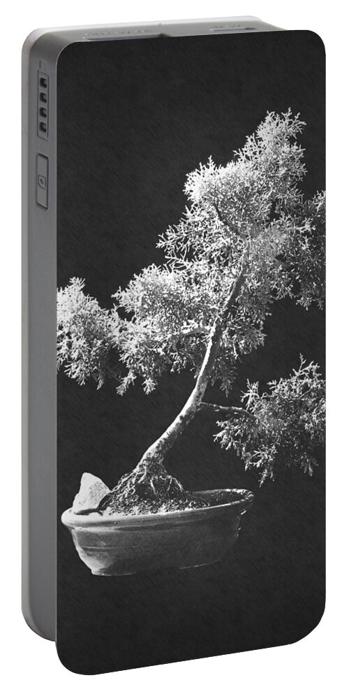 Bonsai Portable Battery Charger featuring the photograph Bonsai 5 by Frank Wilson
