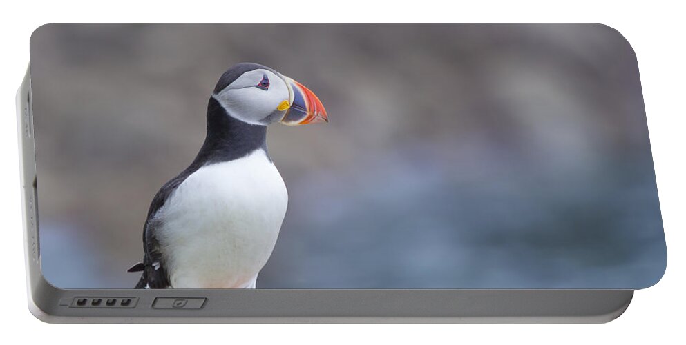 Puffin Portable Battery Charger featuring the photograph Born Free by Evelina Kremsdorf