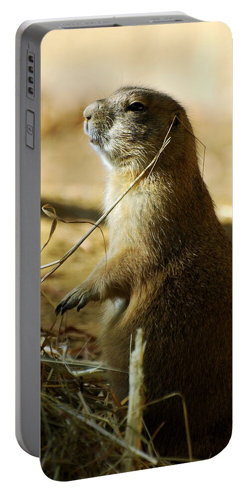 Prairie Dog Portable Battery Charger featuring the photograph Born on the Prairie by Rebecca Sherman