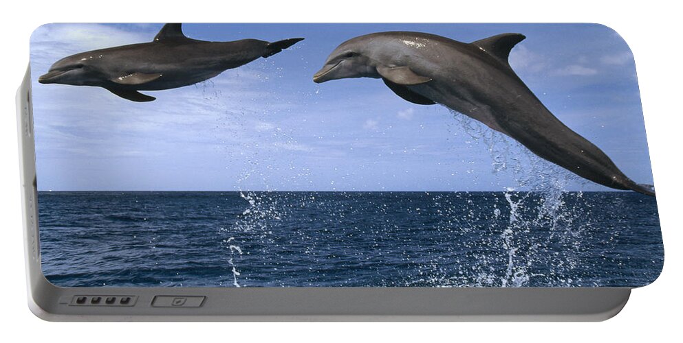 Feb0514 Portable Battery Charger featuring the photograph Bottlenose Dolphins Leaping Honduras by Konrad Wothe